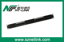 NT-P045 12Port RJ45 Patch Panel