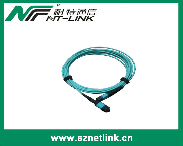 12cores MPO-MPO Patch cord LSZH Female type